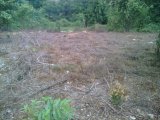 Residential lot For Sale in Springfield main road, Westmoreland Jamaica | [1]