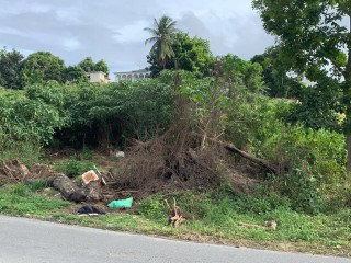 Commercial/farm land For Sale in Westgate Hills, St. James Jamaica | [2]