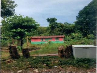 House For Sale in Hermon Hill Pen, St. Mary Jamaica | [4]