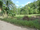 Commercial/farm land For Sale in Browns Town, St. Ann Jamaica | [3]