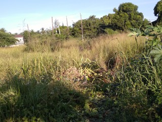 Land For Rent in Leiba Gardens, St. Catherine Jamaica | [3]