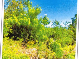 Residential lot For Sale in Mount View Estate, St. Catherine, Jamaica