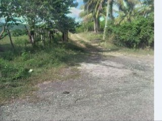 Land For Sale in Bogue, St. Elizabeth, Jamaica