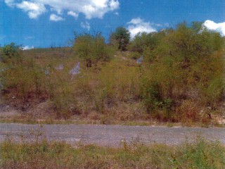 Residential lot For Sale in Luana Pen, St. Elizabeth, Jamaica