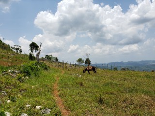 Land For Sale in Friendship St Ann, St. Ann, Jamaica