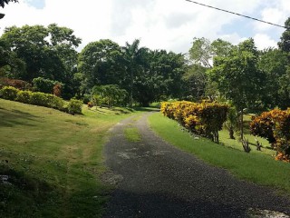  For Sale in PITFOUR, St. James Jamaica | [4]