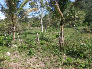 Residential lot For Sale in Evergreen near Mile Gully Manchester, Manchester Jamaica | [1]