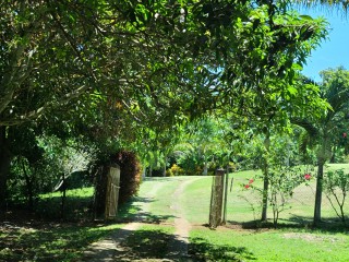House For Sale in Green Island, Hanover Jamaica | [14]