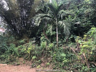 House For Sale in MANDEVILLE, Manchester Jamaica | [3]
