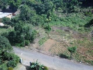 Residential lot For Sale in Mandeville, Manchester Jamaica | [7]