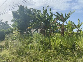 Land For Sale in Tower Isle, St. Mary, Jamaica