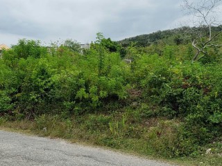 Residential lot For Sale in Boscobel, St. Mary Jamaica | [2]