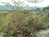 Residential lot For Sale in Jarrett Terrace, St. James Jamaica | [5]