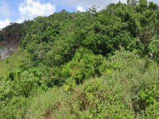 Residential lot For Sale in Rural Retreat Claremont, St. Ann, Jamaica