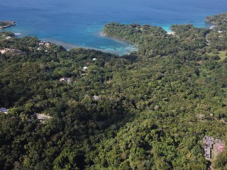 Resort/vacation property For Sale in San San, Portland Jamaica | [9]