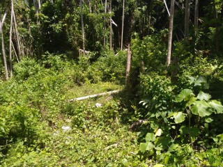 Residential lot For Sale in Craig Mill, Portland Jamaica | [2]