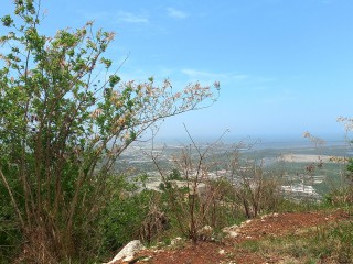 Residential lot For Sale in Plantation Heights, Kingston / St. Andrew Jamaica | [2]