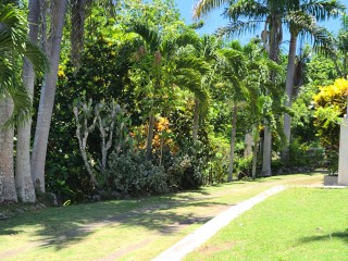 House For Sale in Green Island, Hanover Jamaica | [4]