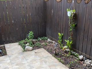 Townhouse For Rent in Abbeydale Court, Kingston / St. Andrew Jamaica | [7]