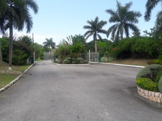 Residential lot For Sale in Negril, St. James Jamaica | [4]