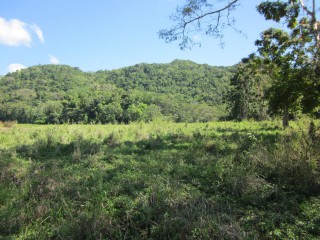 Commercial/farm land For Sale in Burnt Savannah, Westmoreland, Jamaica