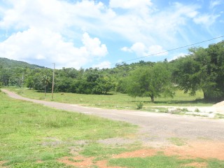 Residential lot For Sale in Santa Cruz, St. Elizabeth, Jamaica