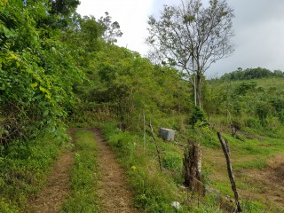 Commercial/farm land For Sale in Carton Estate Off road leading from Claremont to Lime Hall, St. Ann Jamaica | [3]