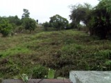 Residential lot For Sale in Evans Heights Part of Stewarton, Clarendon Jamaica | [3]