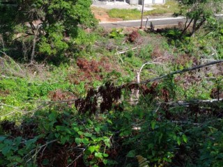 Residential lot For Sale in Tower isles, St. Mary, Jamaica