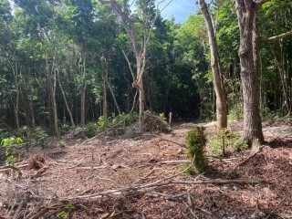 Land For Sale in Montego Bay, St. James, Jamaica