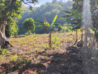 Land For Sale in Charlton Ave, Manchester Jamaica | [10]