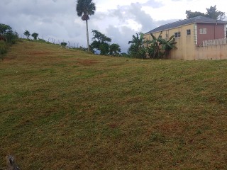 Residential lot For Sale in Knockpatric Mandeville, Manchester Jamaica | [2]