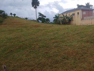 Residential lot For Sale in Knockpatric Mandeville, Manchester, Jamaica