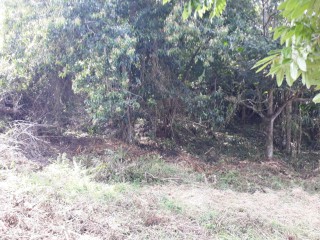 Residential lot For Sale in Ingleside Mandeville, Manchester Jamaica | [5]