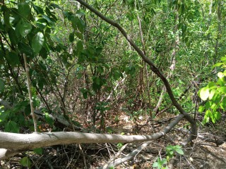 Residential lot For Sale in Rest Haven Bull Bay, Kingston / St. Andrew Jamaica | [3]