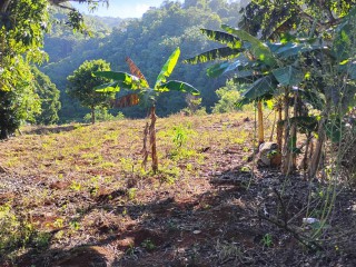 Land For Sale in Charlton Ave, Manchester Jamaica | [4]