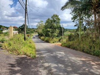 Residential lot For Sale in May Day Plantation, Manchester, Jamaica