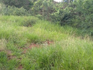 Land For Sale in Mandeville, Manchester, Jamaica