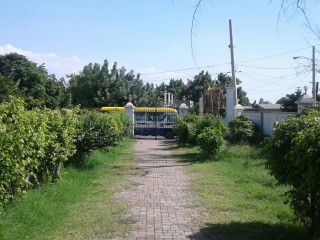 House For Rent in Vineyard Town, Kingston / St. Andrew Jamaica | [7]