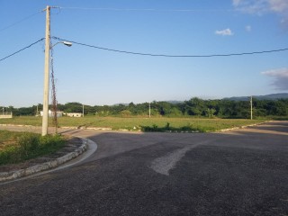 Residential lot For Sale in Paradise, Westmoreland Jamaica | [4]