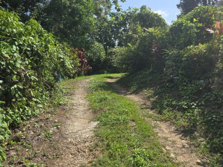 House For Sale in Golden Grove, St. Thomas Jamaica | [13]