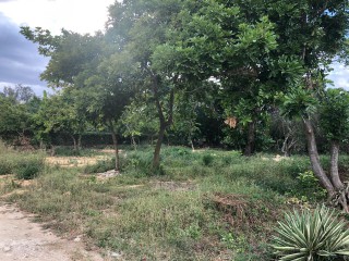 Residential lot For Sale in West end Negril, Westmoreland Jamaica | [1]