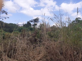 Residential lot For Sale in Mandeville, Manchester Jamaica | [5]