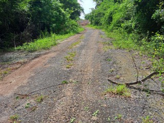 Land For Sale in DUNCAN BAY, Trelawny Jamaica | [3]