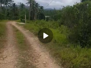 Residential lot For Sale in Wallens, St. Catherine Jamaica | [3]