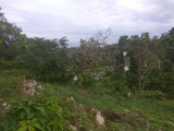 Residential lot For Sale in Runaway Bay, St. Ann Jamaica | [1]