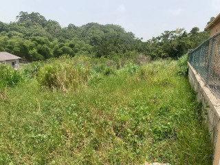 Residential lot For Sale in Mandeville, Manchester Jamaica | [3]