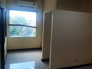 Commercial/farm land For Rent in Liguanea, Kingston / St. Andrew Jamaica | [3]