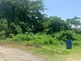 Residential lot For Sale in LUANA PEN BLACK RIVER, St. Elizabeth, Jamaica