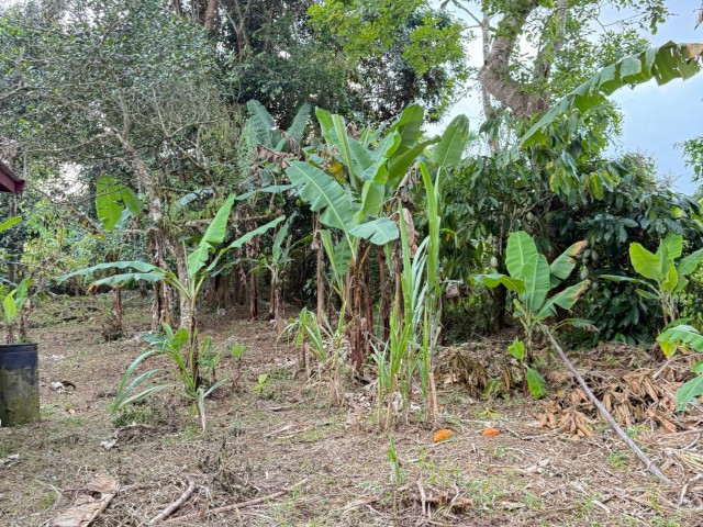 House For Sale in James Hill, Clarendon Jamaica | [1]